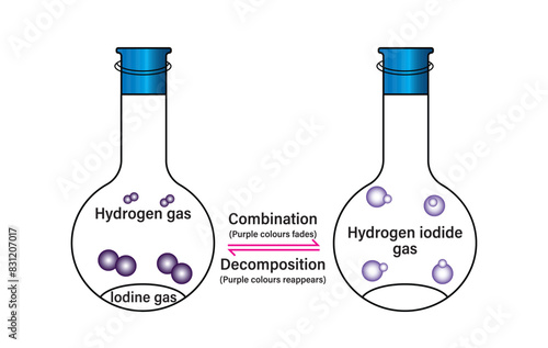 Reversible reactions. Reversible reaction and dynamic equilibrium. Vector scientific graph of chemical reaction. Chemical Equilibrium infographic diagram. Reversible reaction Vector