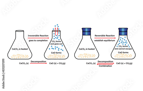 Reversible reactions and irreversible reactions. Reversible reactions and irreversible reactions. dynamic equilibrium. Vector scientific graph of chemical reaction. Chemical Equilibrium infographic.