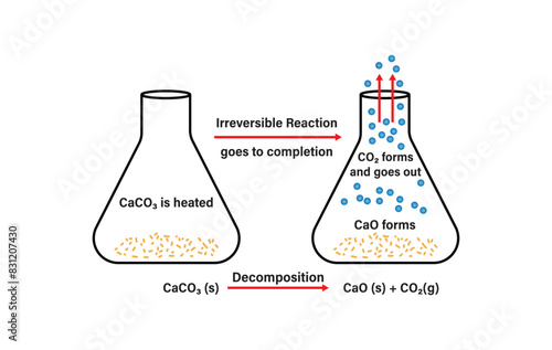 Irreversible reactions. Irreversible reaction and dynamic equilibrium. Vector scientific graph of chemical reaction. Chemical Equilibrium infographic diagram. Irreversible reaction Vector.