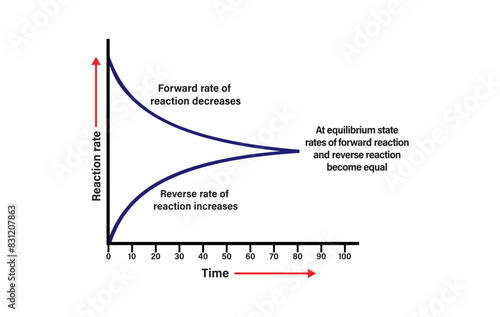 Reverse reactions and establishment of an equilibrium state. Vector scientific graph of chemical reaction. Chemical Equilibrium infographic diagram. Reversible reaction Vector