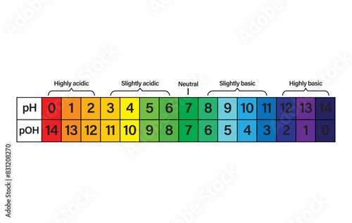 pH scale and pOH scale. ph and pOH scale indicator chart diagram with an arrow. Acid and alkaline solutions. acid-base balance infographic. ph and pOH scale on a white background.