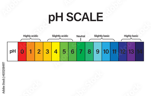 pH SCALE. pH scale Vector scientific graph. pH scale indicator chart diagram with an arrow. Acid and alkaline solutions. acid-base balance infographic. A pH scale on a white background.