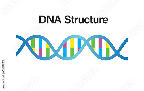 DNA Structure VECTOR. DNA icon in trendy flat design