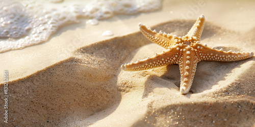 starfish on the beach photo