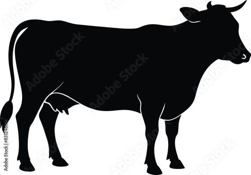 Cow black silhouettes on white background