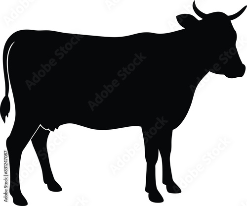 Cow black silhouettes on white background