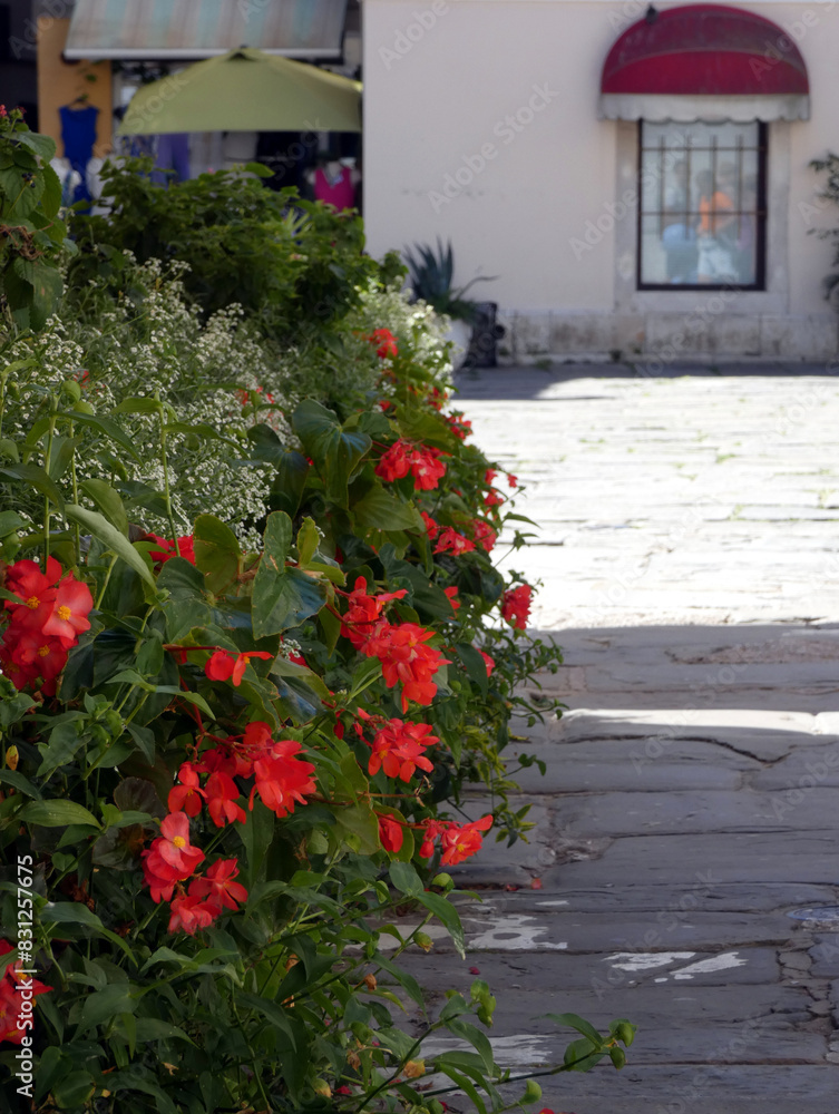 Naklejka premium The enchanting port town of Piran in Slovenia