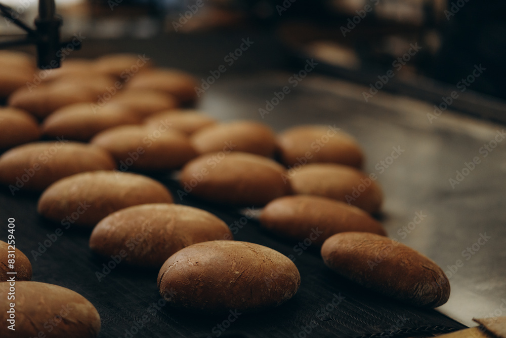 Fresh buns from the oven. Conveyor with bread. Baking bread. Workshop for production of bread. White bread in the oven. Hot buns. Confectionery. Fresh buns from the oven. Conveyor with bread. Baking bread. Workshop for production of bread. White bread in the oven. Hot buns. Confectionery.