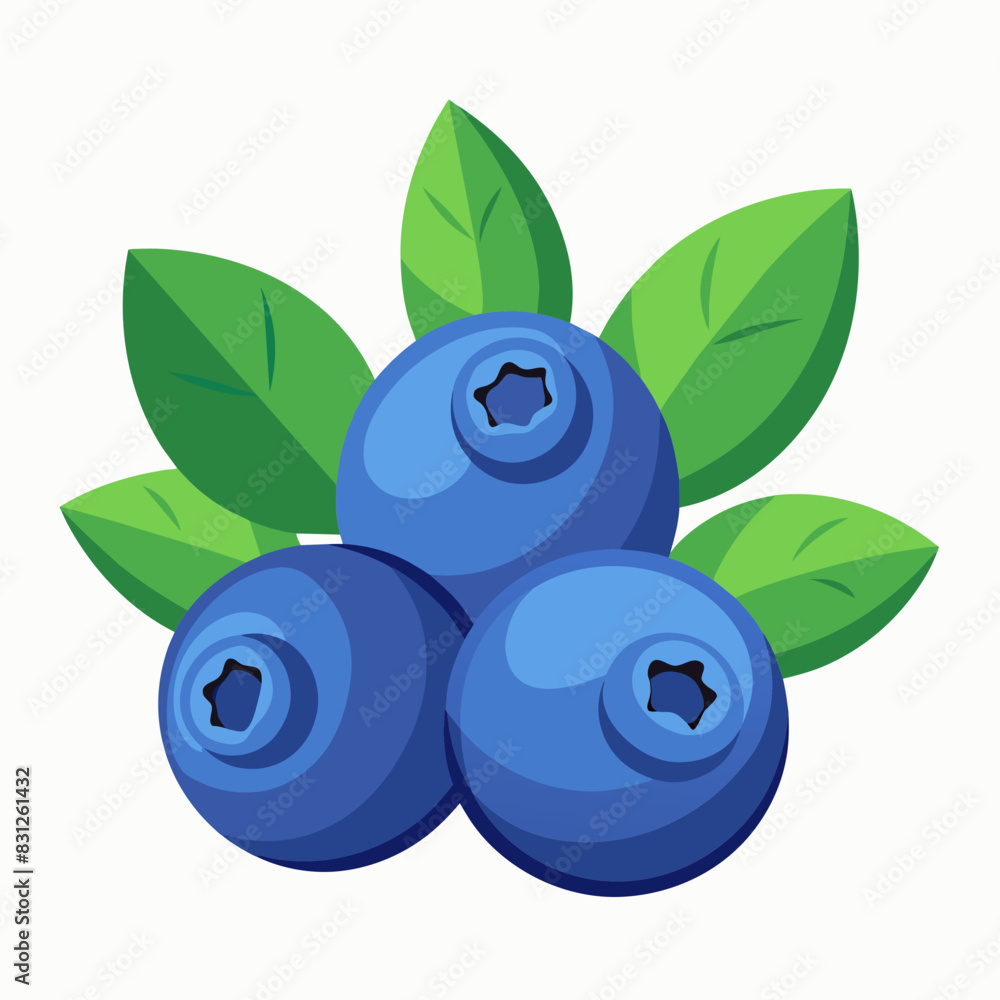 vector illustration of blueberry vector illustration of blueberry