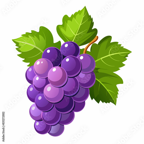 vector illustration of grape