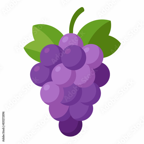 vector illustration of grape
