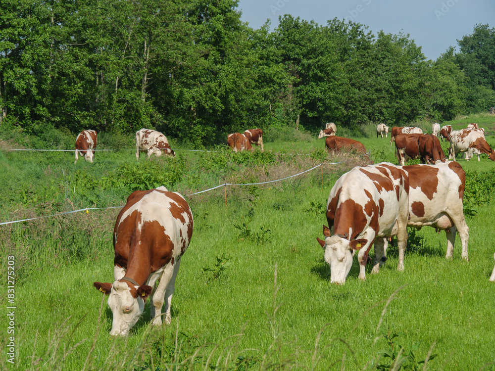 Lichtenvoorde in den Niederlanden Lichtenvoorde in den Niederlanden