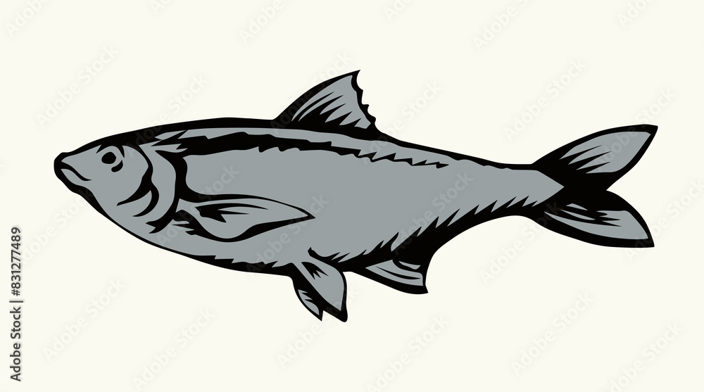 Big sea fish. Vector drawing Big sea fish. Vector drawing