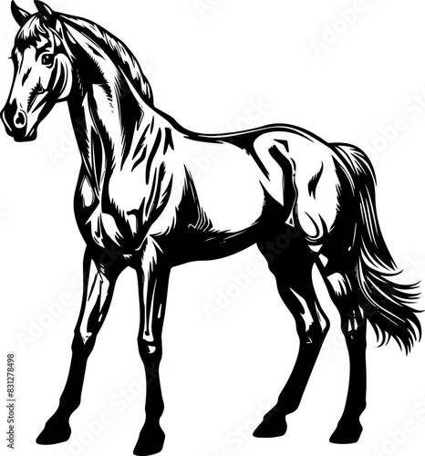 Horse silhouette isolated on white background. Horse standing. AI generated illustration.