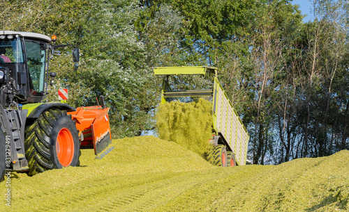 Abladen von Mais auf einer Maissilage während der Maisernte photo