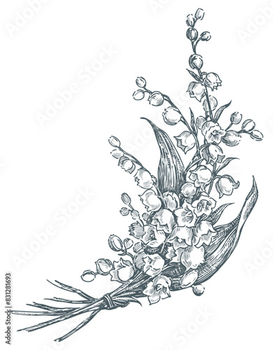 Lilies of the valley spring flowers delicate realistic bouquet sketch hand drawn vector illustration isolated on white