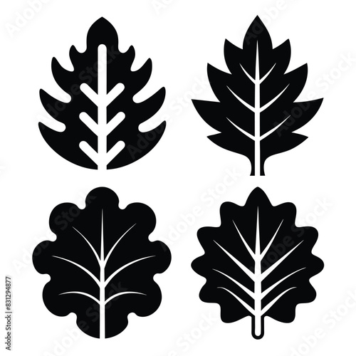 Set of Oak leaf icon black vector on white background