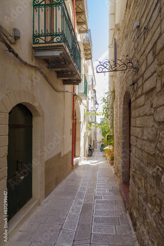 Fototapeta Naklejka Na Ścianę i Meble -  Vieste street, Apulia, Southern Italy