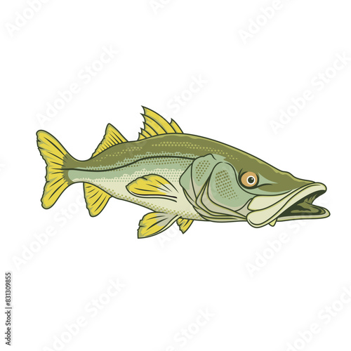 snook fishing illustration logo vector image t shirt