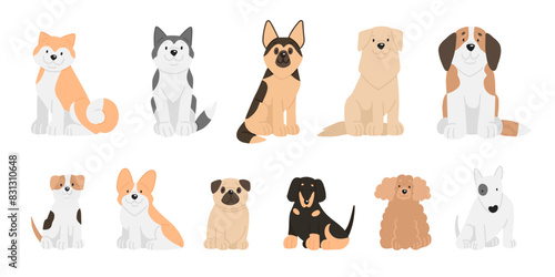 Vector illustration of сartoon dogs breeds set. Cute akita inu, husky, shepherd, retriever, St. Bernard, jack russell, corgi, pug, dachshund, poodle, Bull Terrier