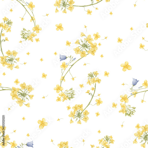 Delicate seamless floral pattern. Blooming rapeseed painted in watercolor