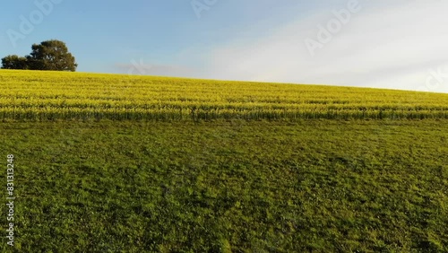 Aerial video over fields in Schwarzwald Germany photo