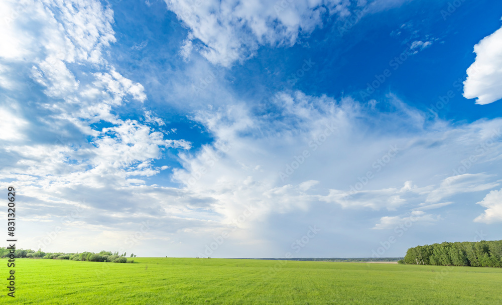 Obraz premium A lush green field with vibrant trees reaching towards the sky, accompanied by billowing clouds in the background, creating a picturesque scene of tranquility and natures beauty.