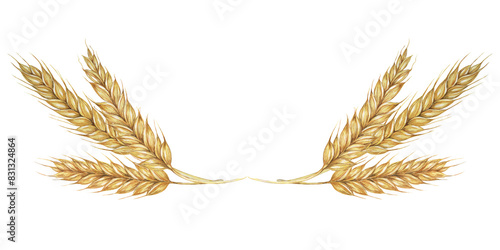 Fotografía Wheat ears, stalks of barley golden cereal grain spikes