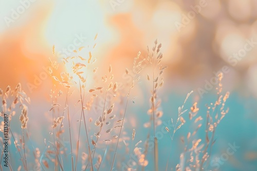 Blurred Grass Meadow at Sunset with Dreamy Realism