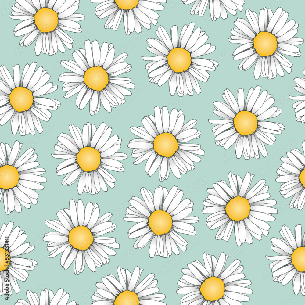 Chamomile seamless pattern. Vector background with white daisies on blue.