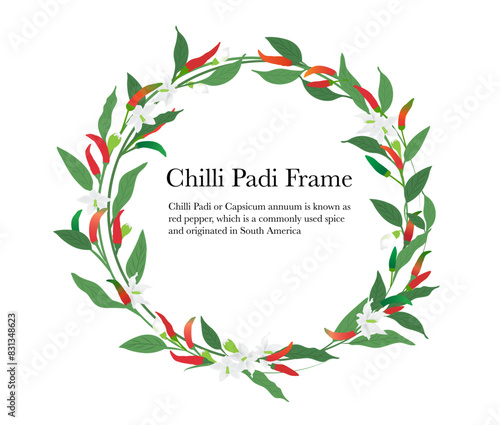 chili foliage in crown frame on white background