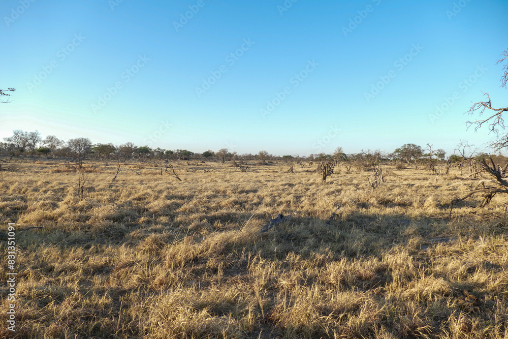 Obraz premium Botswana