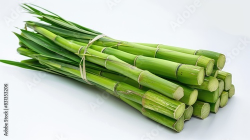 Green cane bunch on white background