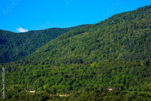 A lush green mountain with a clear blue sky