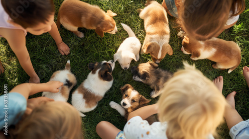 Group of Children Playing with Puppies on Grass