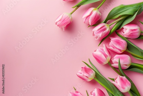 Pink Tulips on Pastel Pink Background in Flat Lay Top View © MD