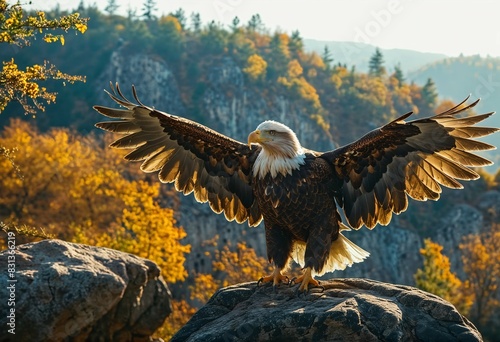 Majestic eagle sitting on a rock among the greenery in the mountains