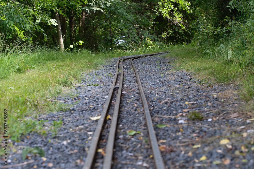 Railway in the forest Railway in the forest