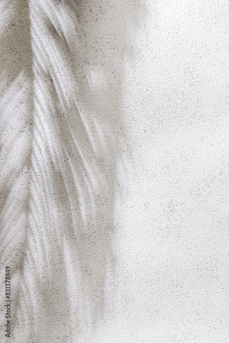 Palm leaf shadow on white concrete wall. Minimal summer exotic concept with copy space