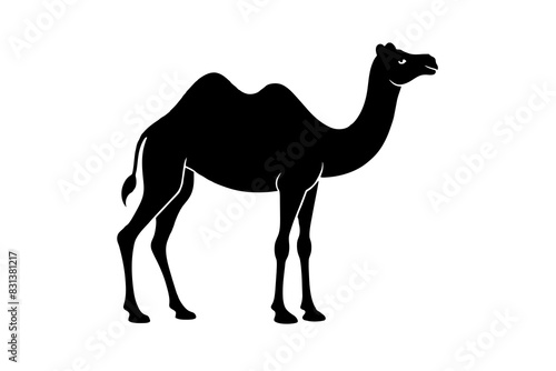 camel animal vector silhouette  illustration