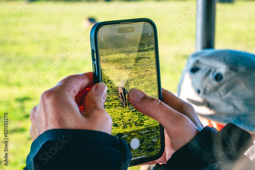 Close-up of smartphone taking a photo of African animal from a game viewing vehicle