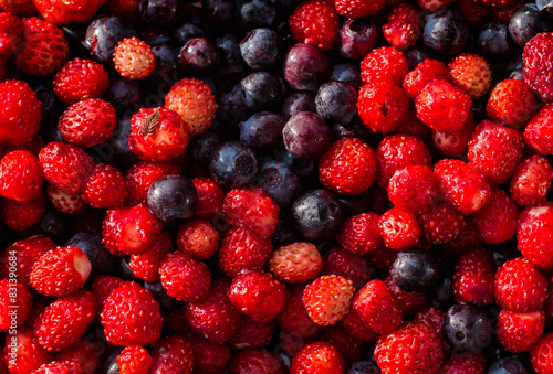 Εκτύπωση καμβά Berry Medley