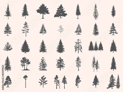 Silhouettes Trees Set, Pine Tree fir  pruce cedar white patch alder elm birch ash cypress beech palm tree.