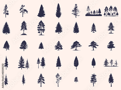 Silhouettes Trees Set, Pine Tree fir  pruce cedar white patch alder elm birch ash cypress beech palm tree.