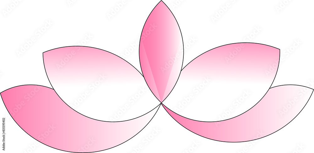 Fototapeta premium Water Lily Flower 