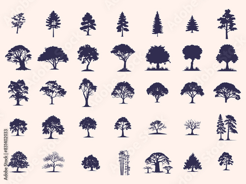 Silhouettes Trees Set, Pine Tree fir  pruce cedar white patch alder elm birch ash cypress beech palm tree.