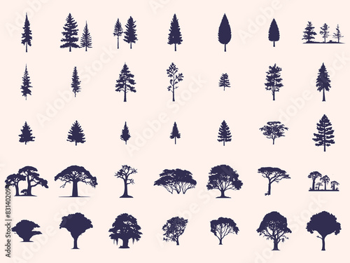 Silhouettes Trees Set, Pine Tree fir pruce cedar white patch alder elm birch ash cypress beech palm tree. photo