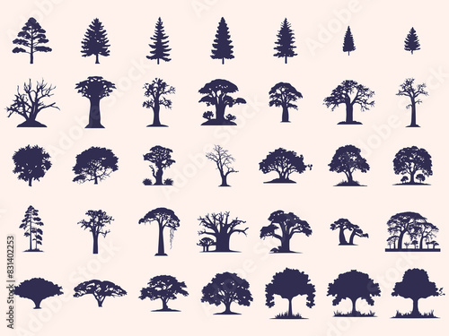 Silhouettes Trees Set, Pine Tree fir  pruce cedar white patch alder elm birch ash cypress beech palm tree.