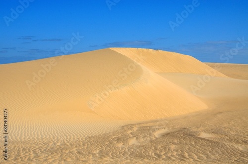 Duna de postal en Sharqiya Sands, Sultanato de Omán photo