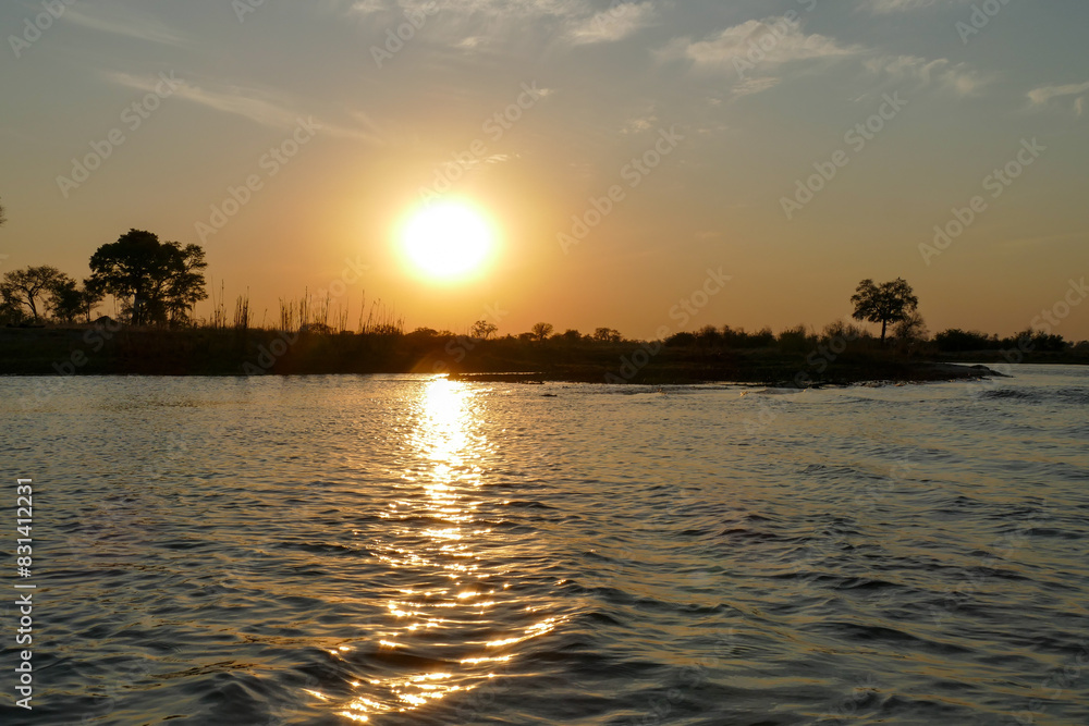 Naklejka premium Antilope